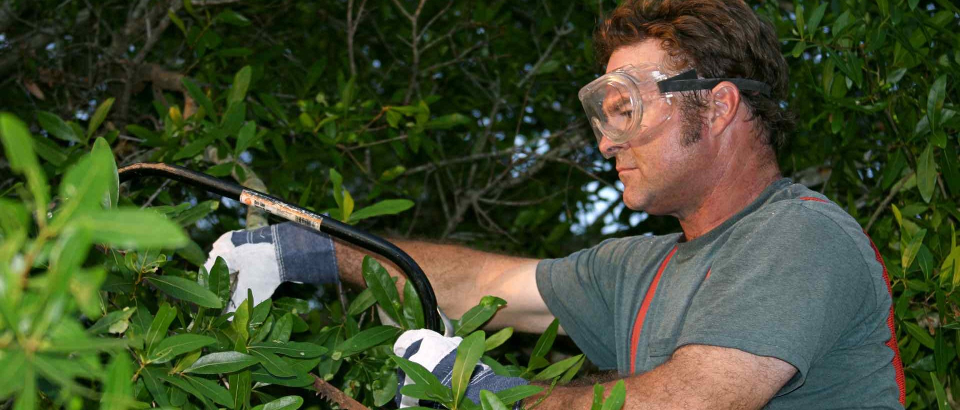 garden clearance UB4